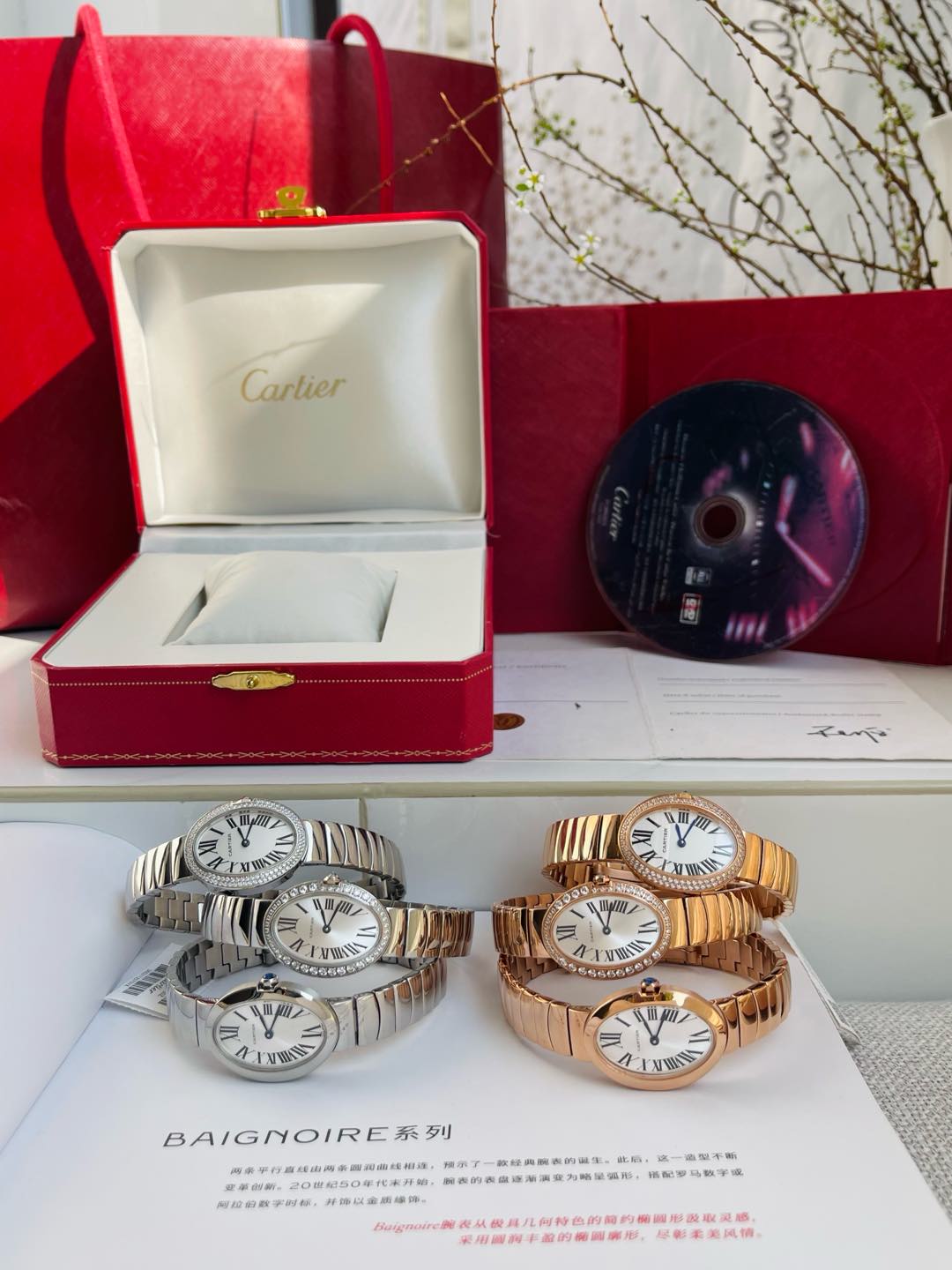BAIGNOIRE DE CARTIER ¨C OVAL SHAPE SILVER CASE